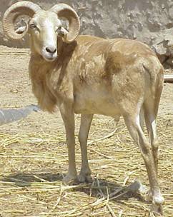 image014.jpg